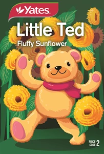 SUNFLOWER LITTLE TED KIDS NZ SEED PACKET